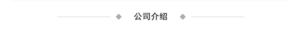公司介绍
